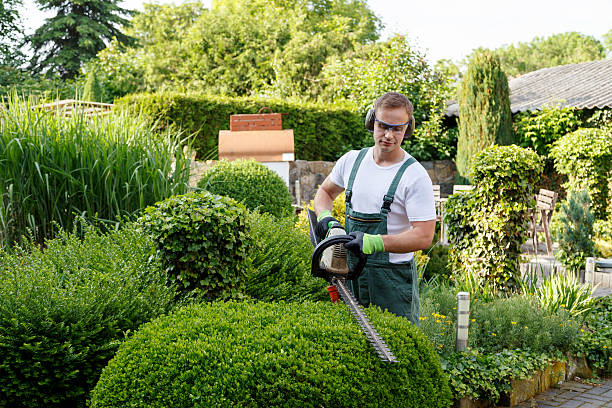 Best Lawn Grading and Leveling  in Browntown, PA